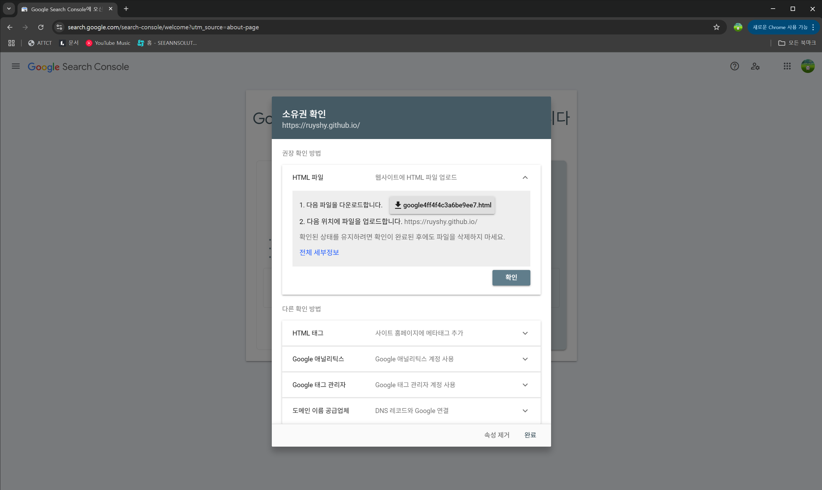 블로그 도메인 등록 단계